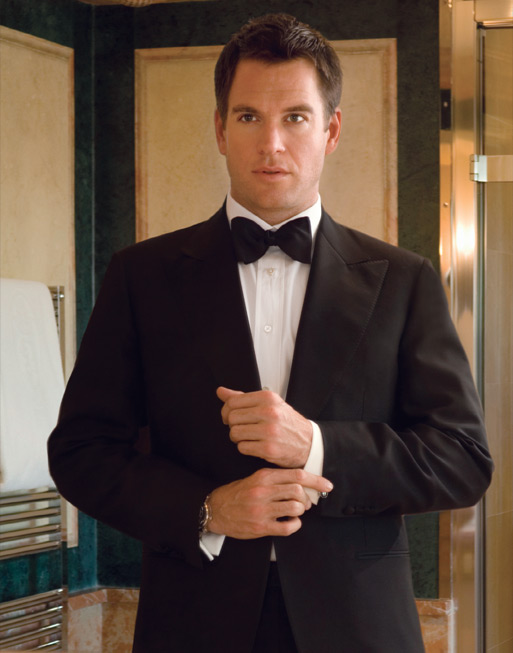 Michael-Weatherly-michael-weatherly-95887_513_653